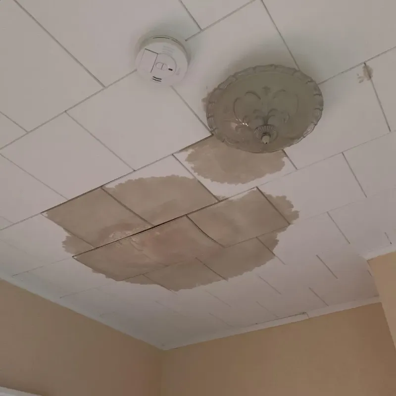 Ceiling Water Damage Repair in Seven Fields, PA