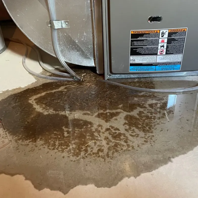 Pipe Burst and Leak Restoration in Seven Fields, PA
