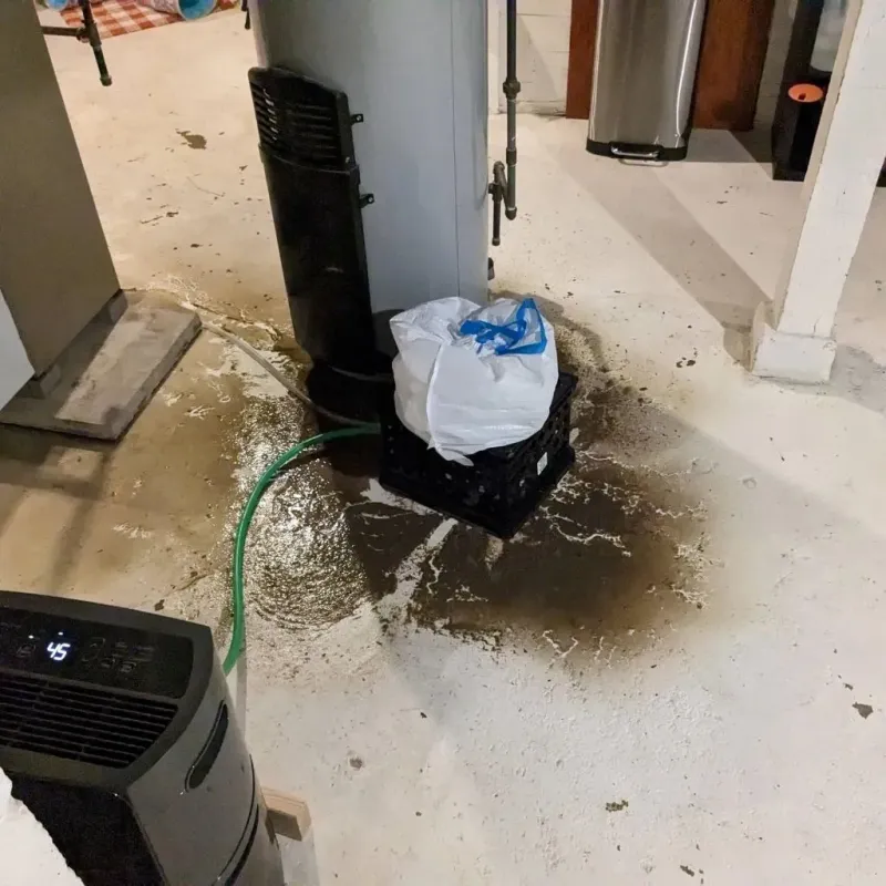 Sewage Backup Cleanup Service in Seven Fields, PA